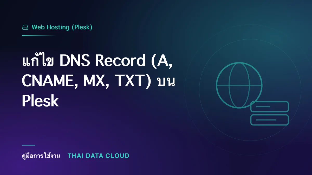 แก้ไข DNS Record (A, CNAME, MX, TXT) บน Plesk