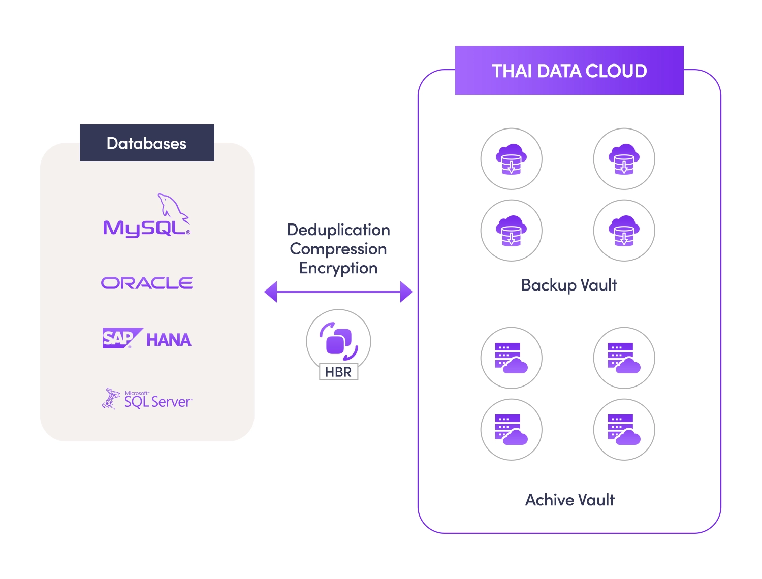 Database Backup