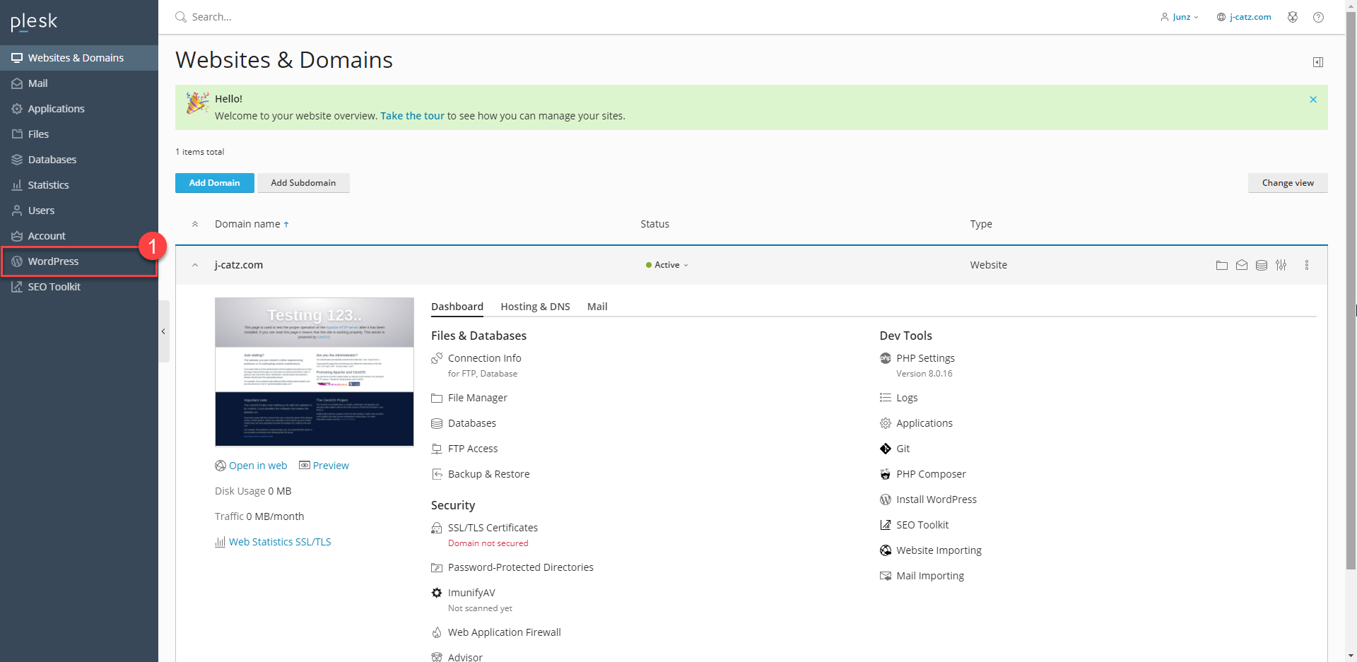 installation WordPress Plesk